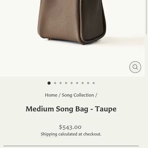 Songmont Medium Taupe Leather Bag